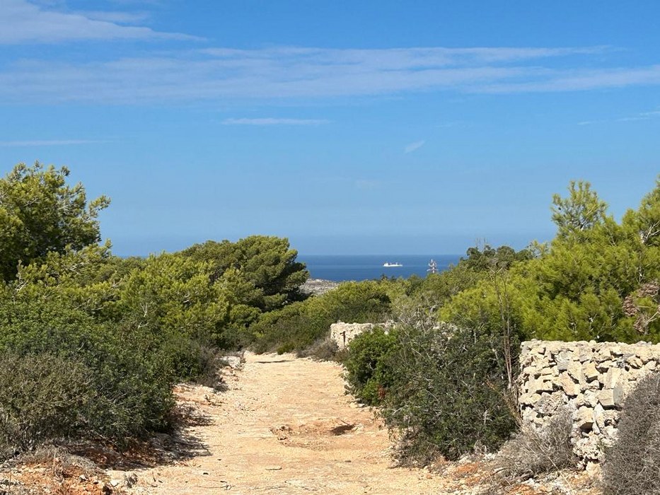 Palazzo with a Pool and Gardens