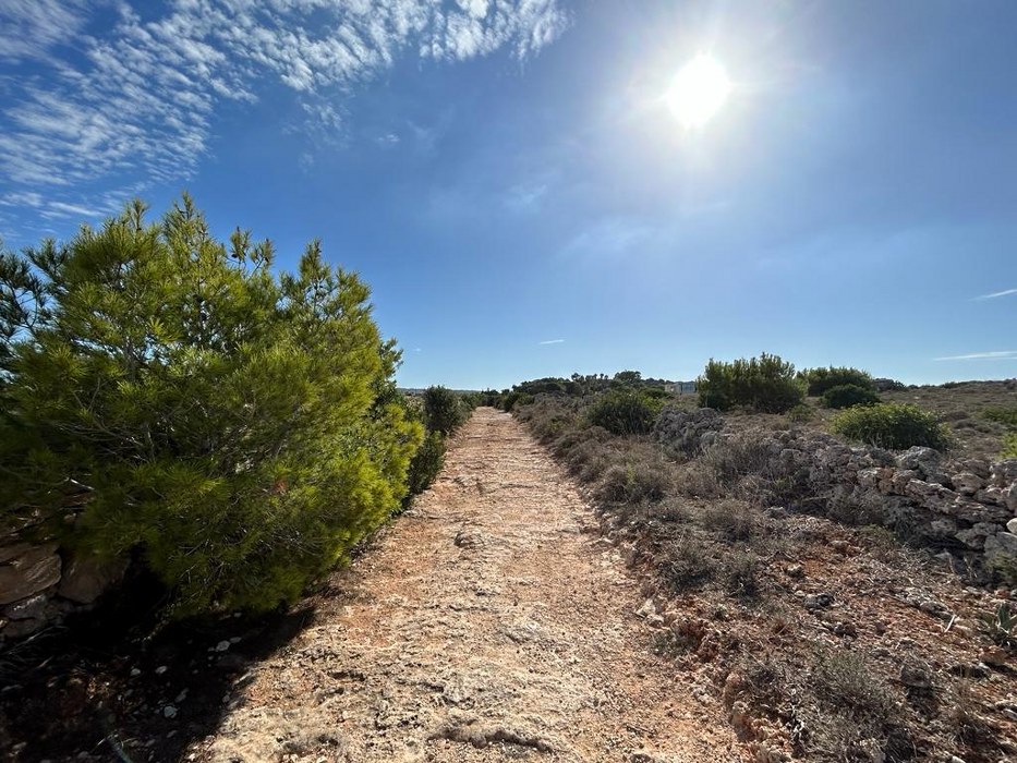 Palazzo with a Pool and Gardens