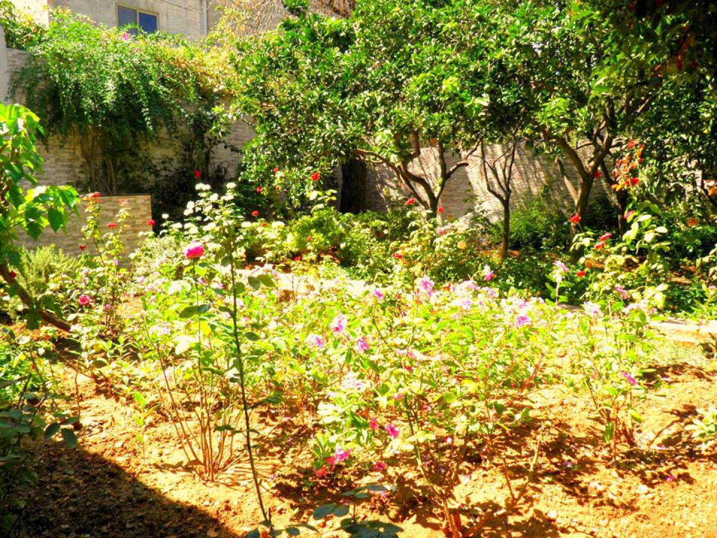 Palazzo with a Roof Terrace