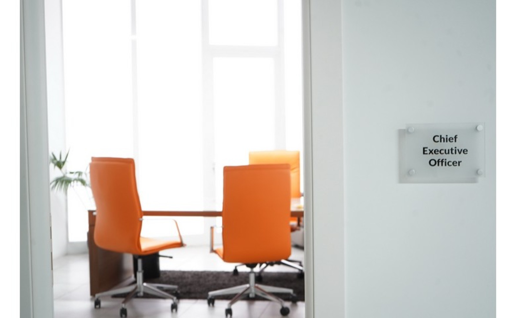 Furnished Office Space