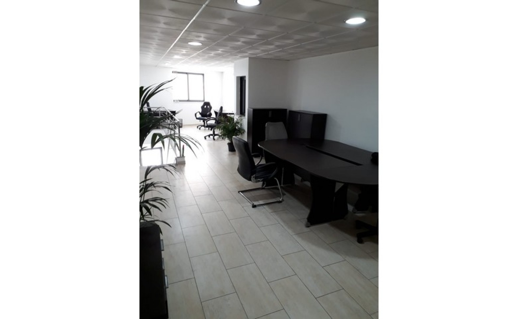 Office / Shop for rent in Malta: St Julian's 65sqm premises