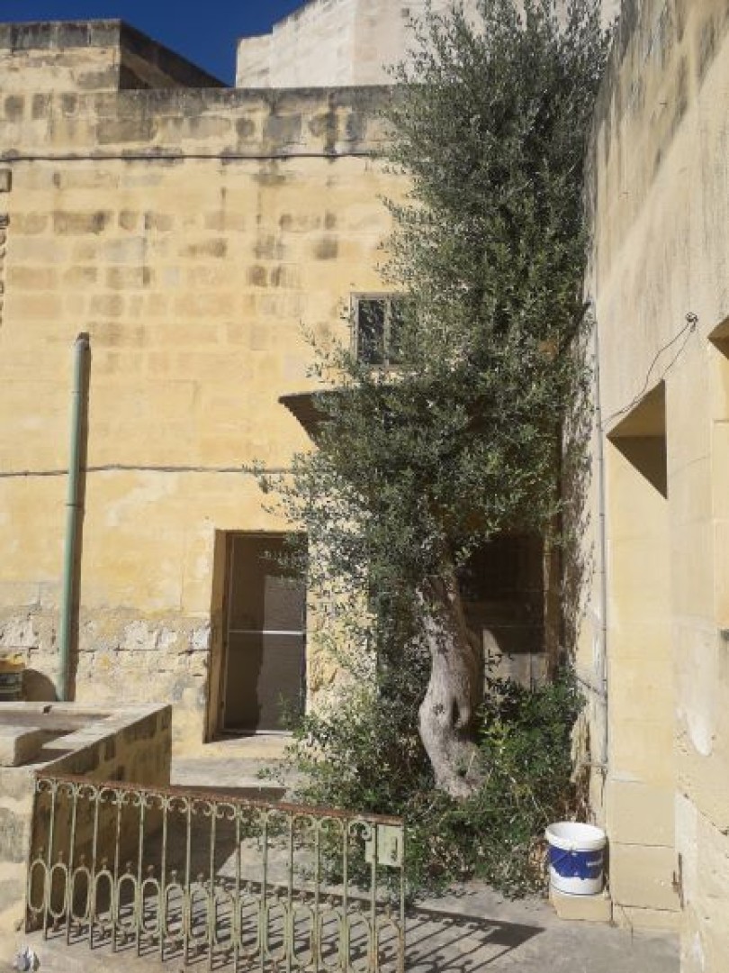 Farmhouse with a Garden