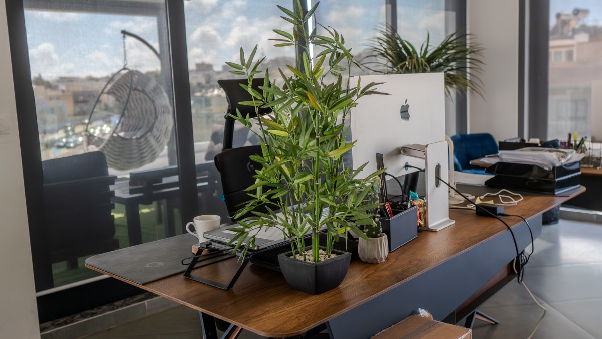 Penthouse Office with Views