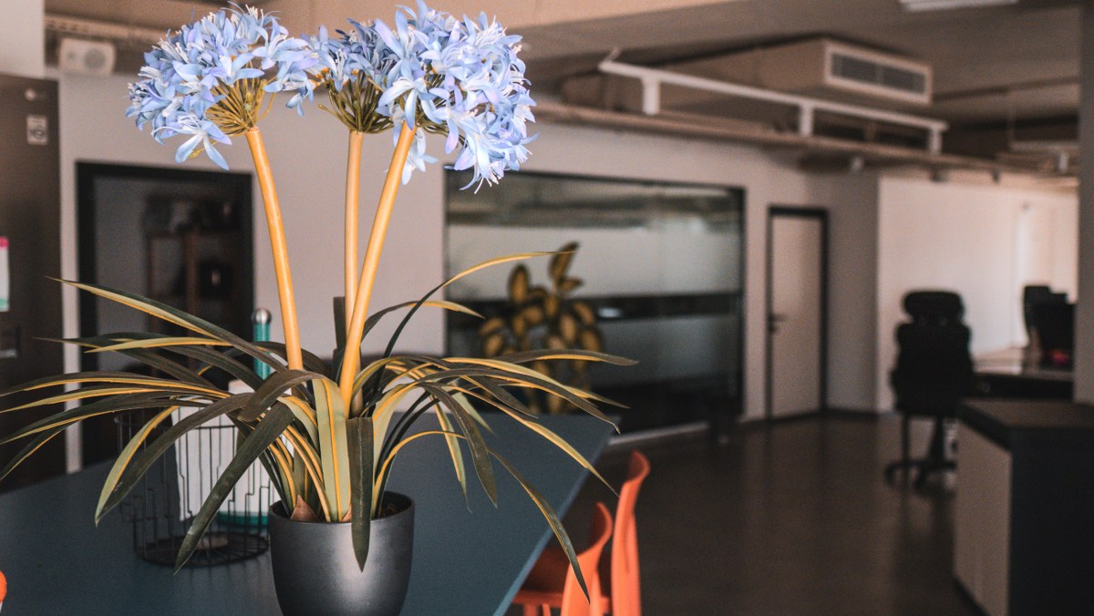 Penthouse Office with Views