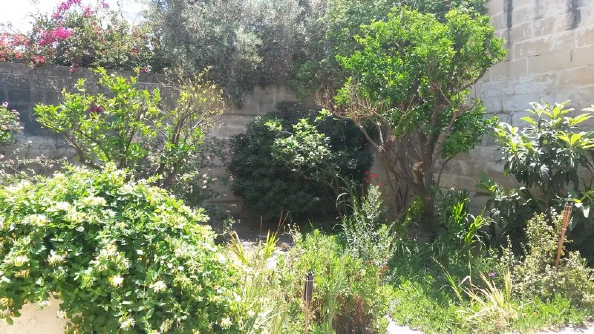 Townhouse with a Garden