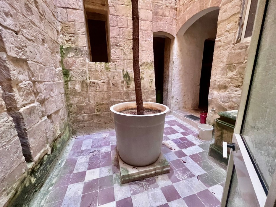 Palazzo with a Roof Terrace