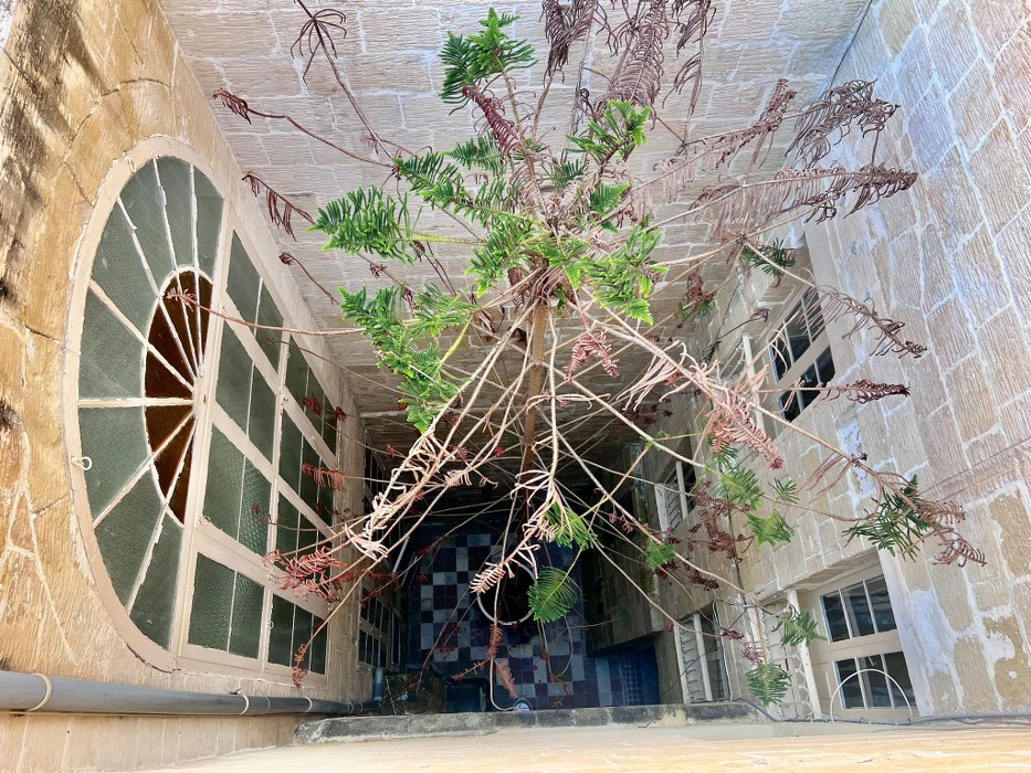 Palazzo with a Roof Terrace