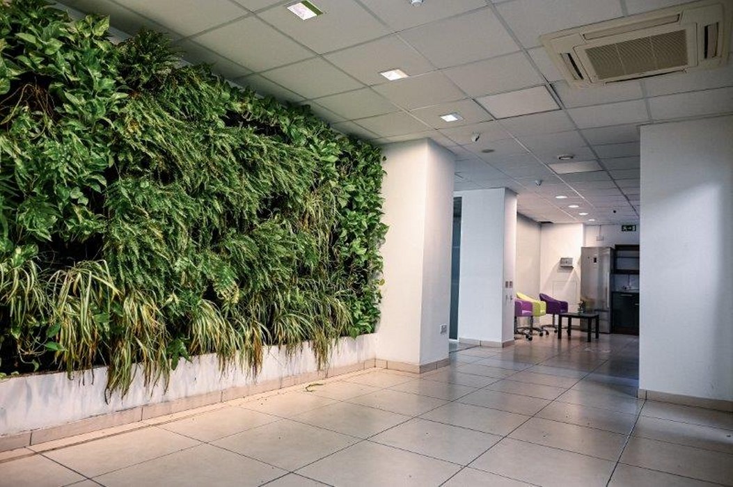 Furnished Office Space