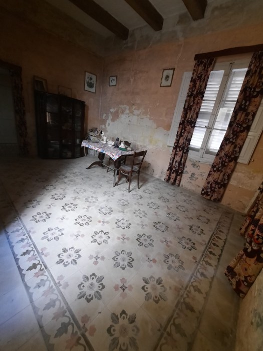 Corner Palazzo with a Garden