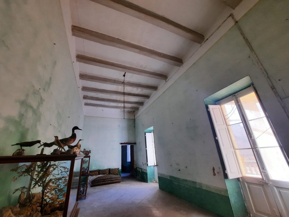 Corner Palazzo with a Garden