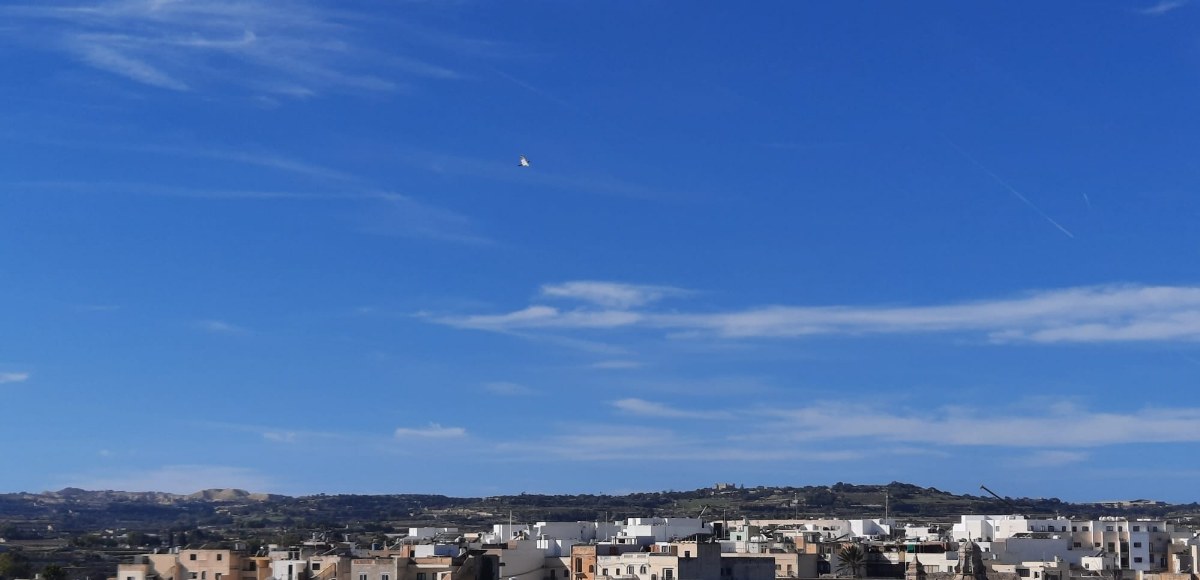 Corner Palazzo with a Garden