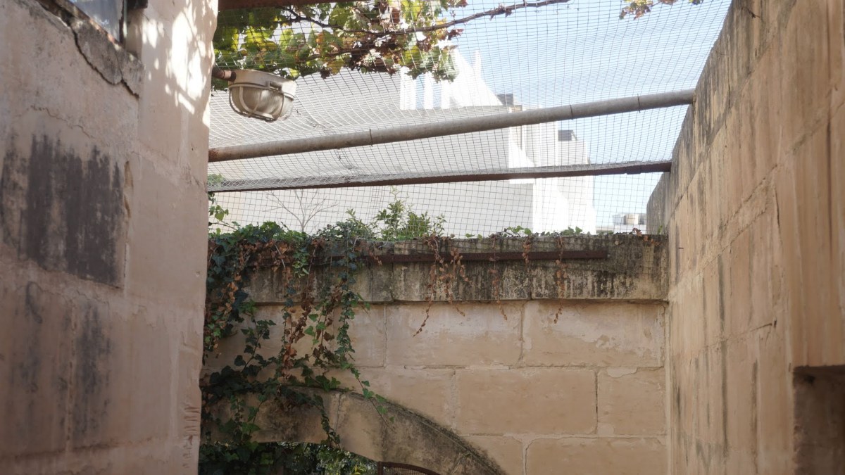 Investment Opportunity: Ground-Floor Garage with Yard in San Gwann!