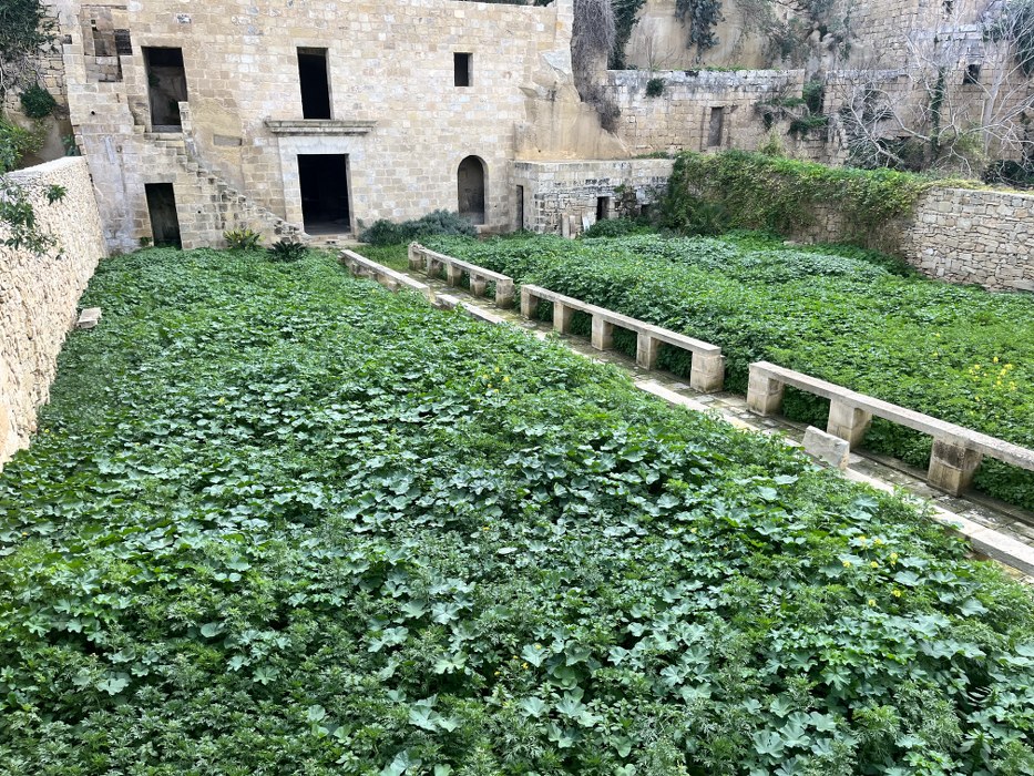 Palazzo on the Waterfront