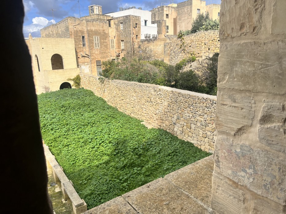 Palazzo on the Waterfront