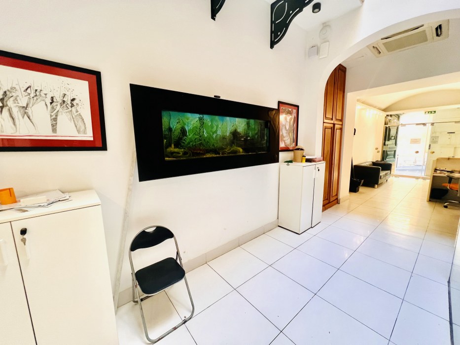 Furnished Palazzo Office Space