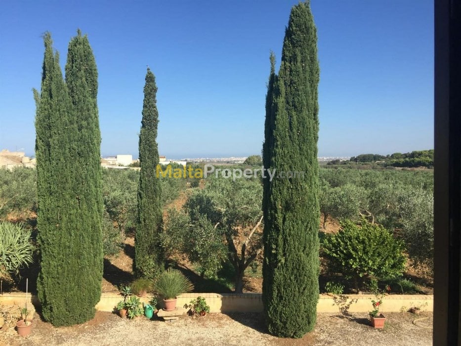 Charming Sicilian Olive Grove Estate