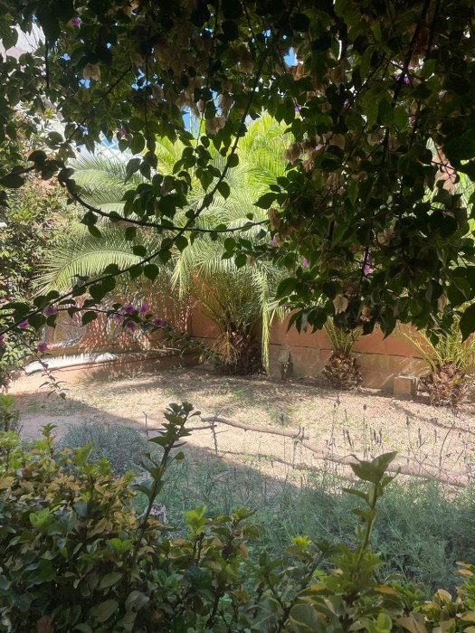 Hostel with a Garden