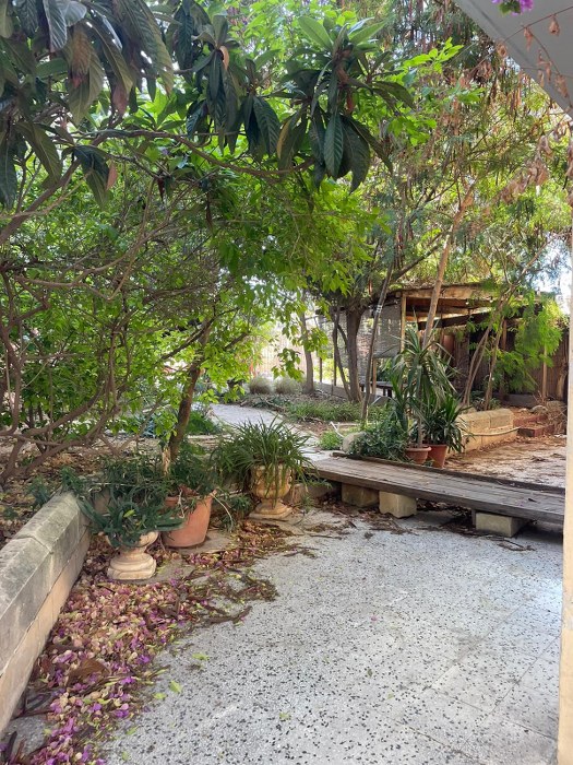 Hostel with a Garden