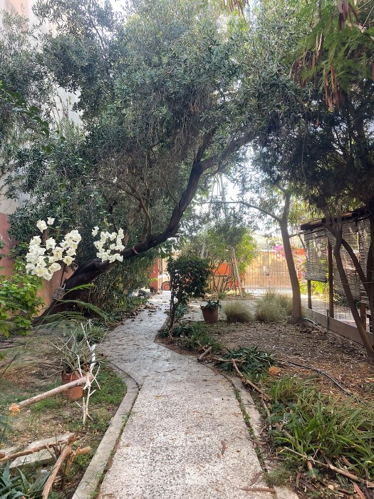 Hostel with a Garden