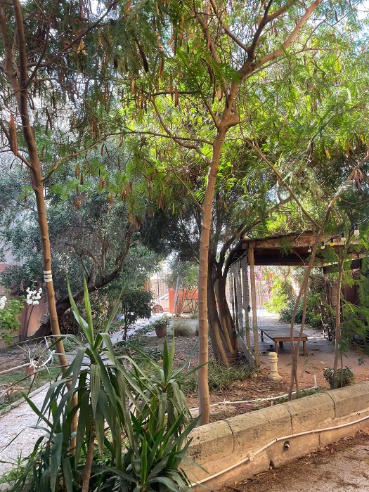 Hostel with a Garden