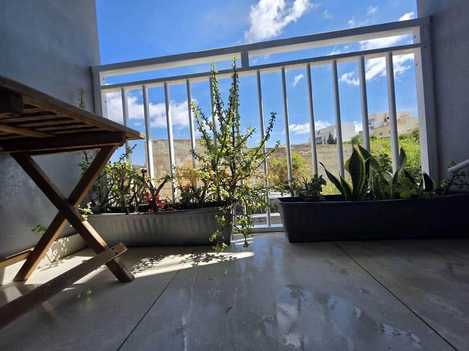 Ejendom i Dingli